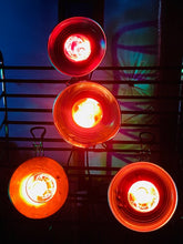 RubyLux Lamp with Heavy Duty Clamp for RubyLux NIR Bulb for US & Canada