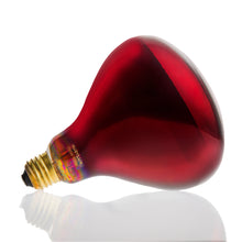 RubyLux NIR-A Near Infrared Bulb - Grade A   - 120V for US
