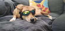 Rubylux Dog Goggles