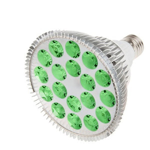 LED Green Light Therapy Bulb from RubyLux