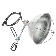 Lamp for 250W Near Infrared Heat Lamp Bulb