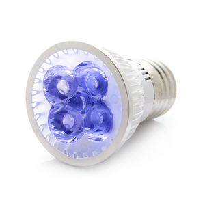 RubyLux All Blue LED Bulb - Size Small - 2nd Generation 120V US & Canada